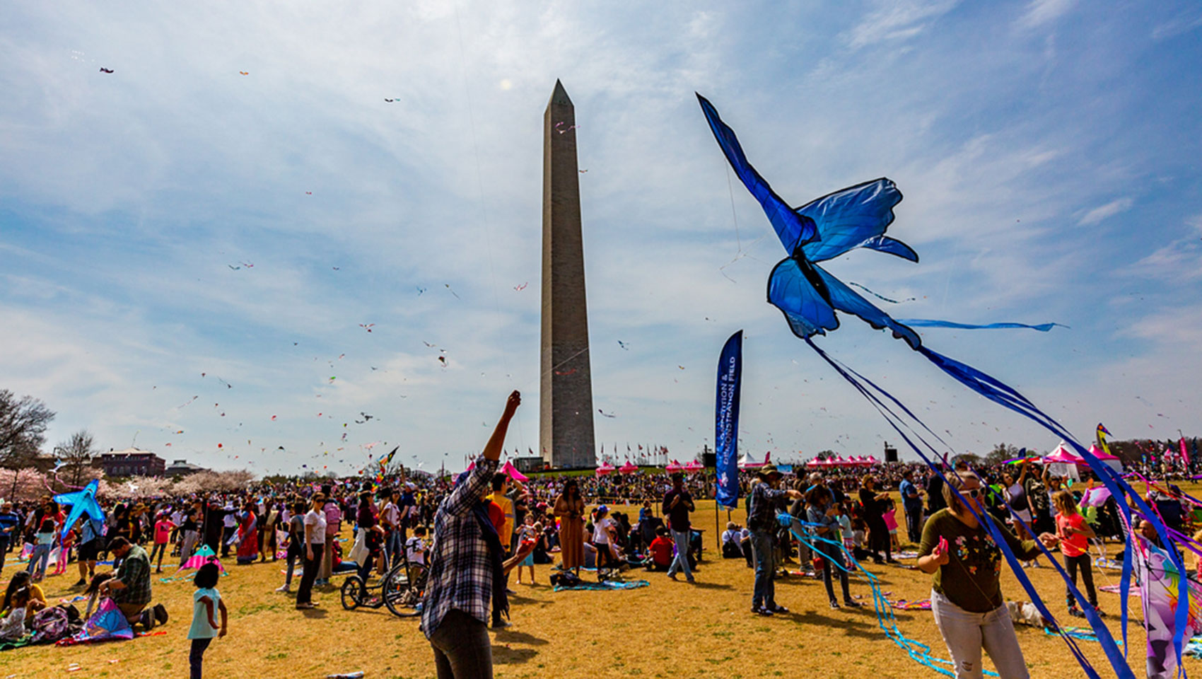 people flying kites in front of the washington monument